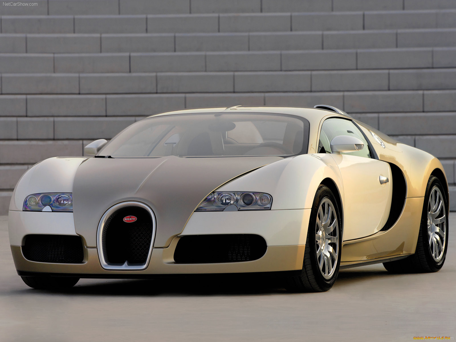 bugatti, veyron, 2009, 